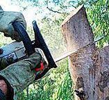 Best Lot and Land Clearing  in Nyssa, OR