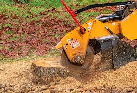 Best Arborist Consultation Services  in Nyssa, OR