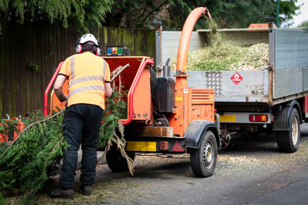 Best Lawn Irrigation Installation and Maintenance  in Nyssa, OR
