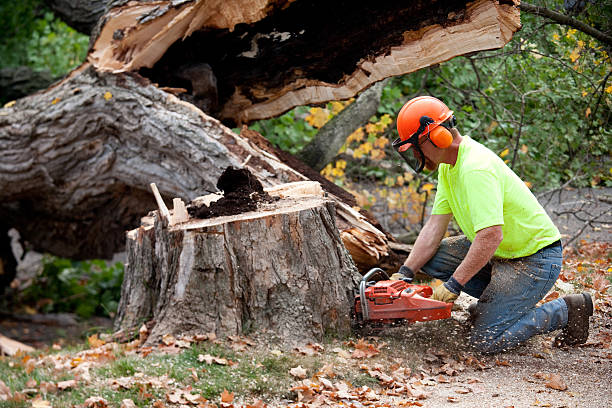 Best Aeration Services  in Nyssa, OR