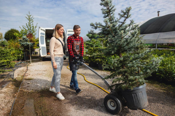 Best Landscape Design and Installation  in Nyssa, OR